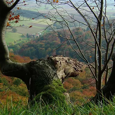 Hotel Papp-mühle Zersen