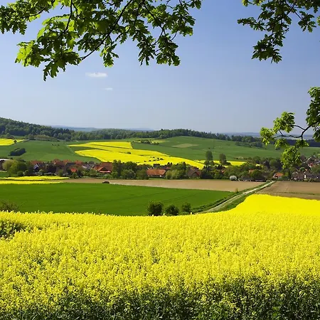 Hotel Papp-mühle Zersen