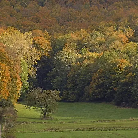 Hotel Papp-mühle Zersen